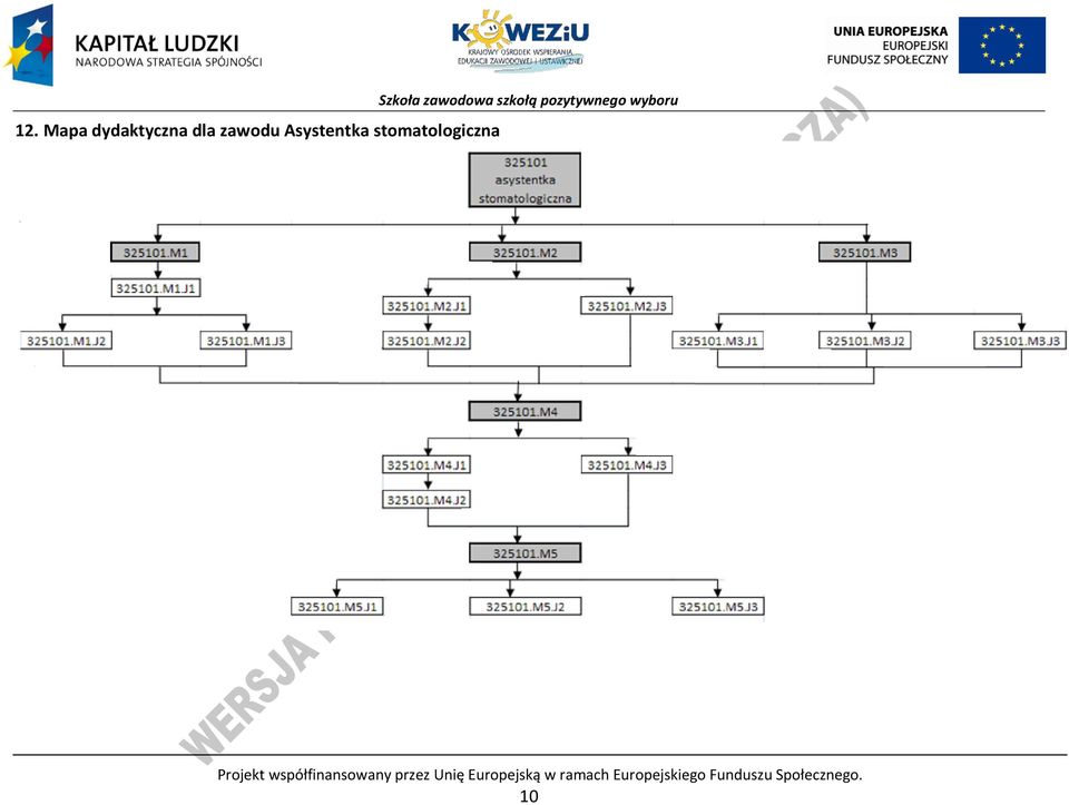 pozytywnego wyboru rojekt współfinansowany przez