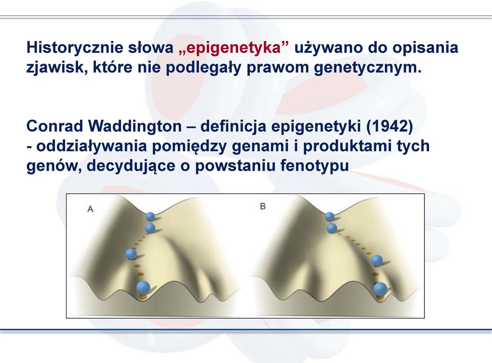 Conrad Waddington definicja epigenetyki (1942) -