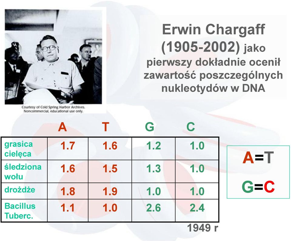 śledziona wołu A T G C 1.7 1.6 1.2 1.0 1.6 1.5 1.3 1.