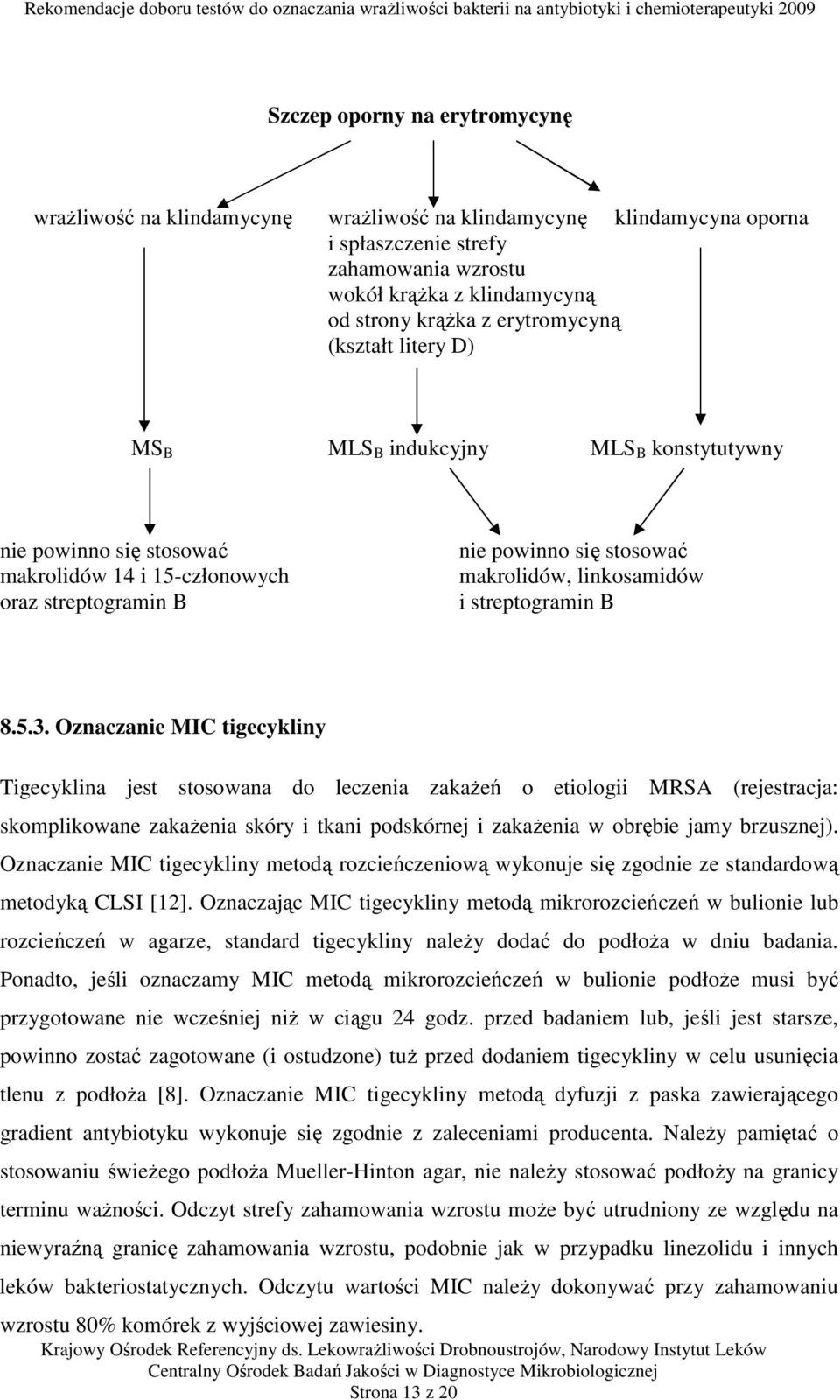 i streptogramin B 8.5.3.