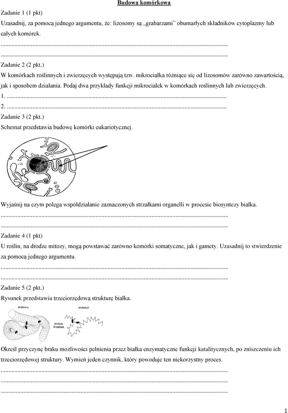 Podaj dwa przykłady funkcji mikrociałek w komórkach roślinnych lub zwierzęcych. 1.... 2.... Zadanie 3 (2 pkt.) Schemat przedstawia budowę komórki eukariotycznej.