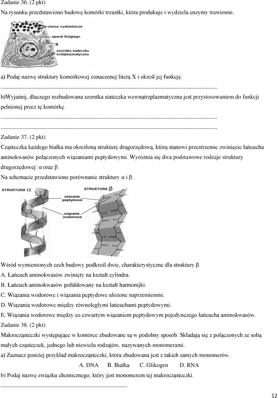 (2 pkt) Cząsteczka każdego białka ma określoną strukturę drugorzędową, którą stanowi przestrzenne zwinięcie łańcucha aminokwasów połączonych wiązaniami peptydowymi.