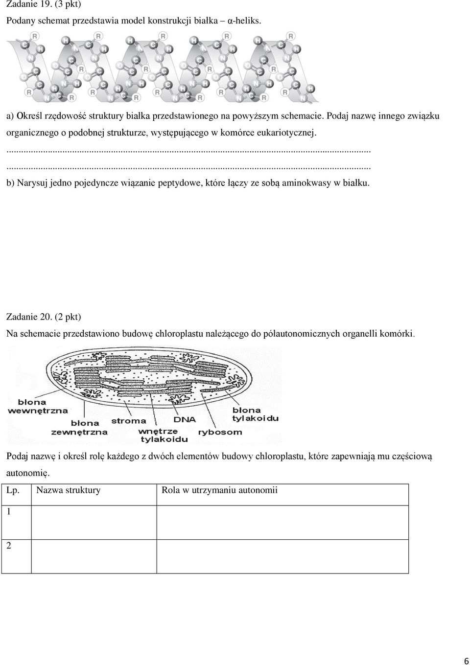 b) Narysuj jedno pojedyncze wiązanie peptydowe, które łączy ze sobą aminokwasy w białku. Zadanie 20.