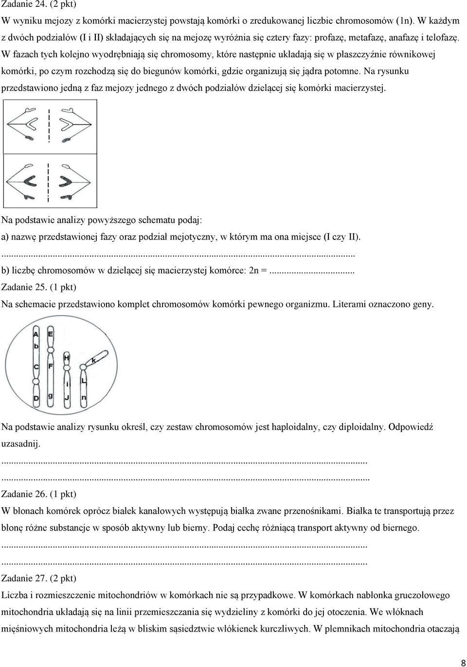 W fazach tych kolejno wyodrębniają się chromosomy, które następnie układają się w płaszczyźnie równikowej komórki, po czym rozchodzą się do biegunów komórki, gdzie organizują się jądra potomne.