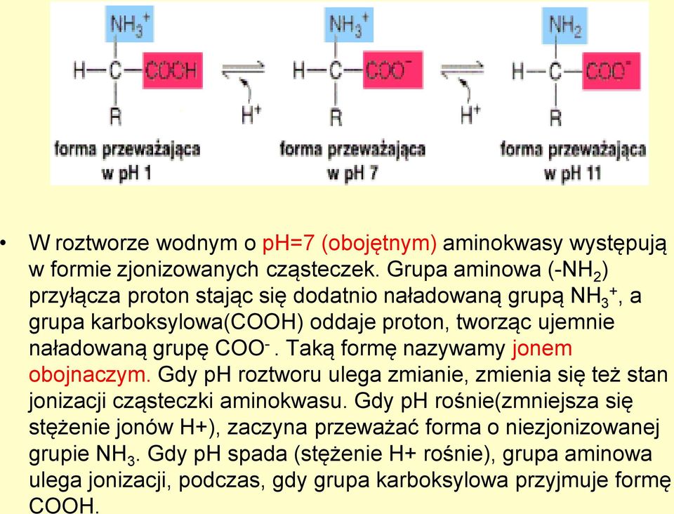 naładowaną grupę COO -. Taką formę nazywamy jonem obojnaczym. Gdy ph roztworu ulega zmianie, zmienia się też stan jonizacji cząsteczki aminokwasu.