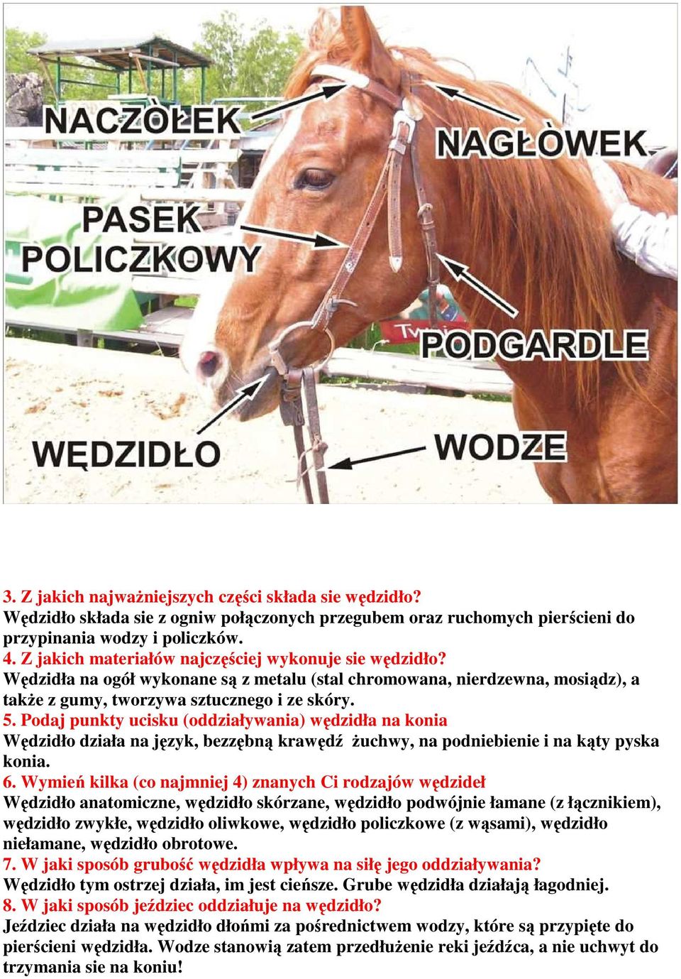 Podaj punkty ucisku (oddziaływania) wędzidła na konia Wędzidło działa na język, bezzębną krawędź Ŝuchwy, na podniebienie i na kąty pyska konia. 6.