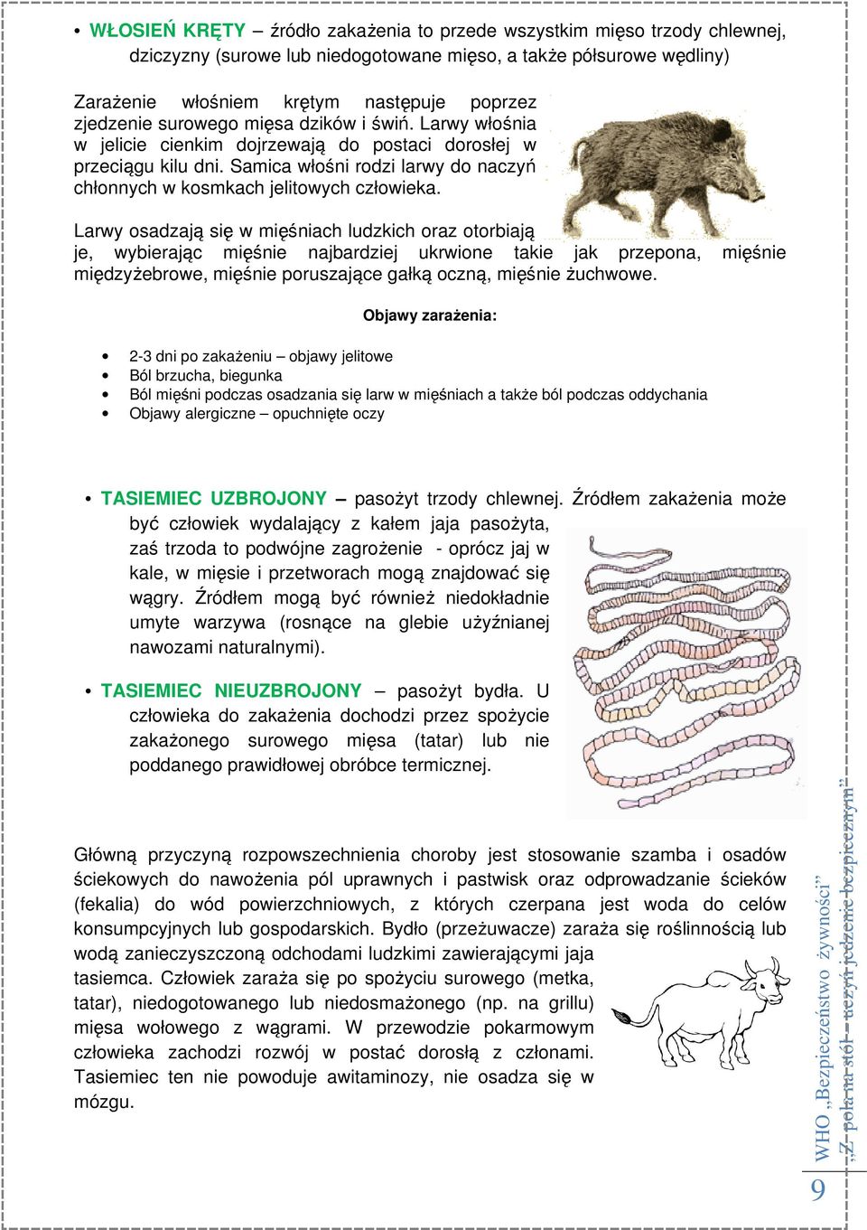 Larwy osadzają się w mięśniach ludzkich oraz otorbiają je, wybierając mięśnie najbardziej ukrwione takie jak przepona, mięśnie międzyżebrowe, mięśnie poruszające gałką oczną, mięśnie żuchwowe.