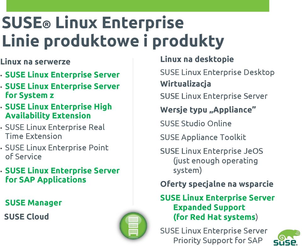 Cloud Linux na desktopie SUSE Linux Enterprise Desktop Wirtualizacja SUSE Linux Enterprise Server Wersje typu Appliance SUSE Studio Online SUSE Appliance Toolkit SUSE Linux