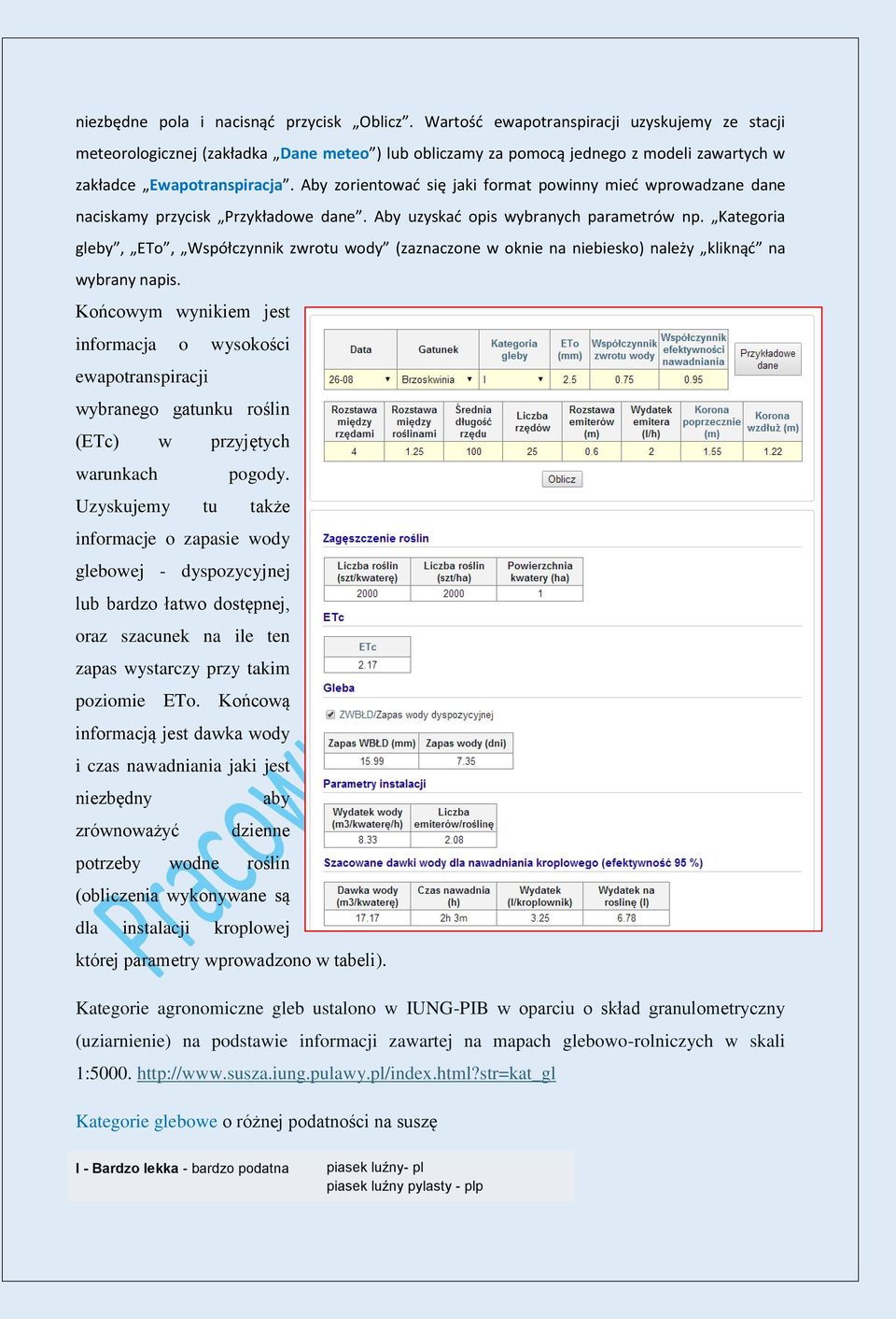 Aby zorientować się jaki format powinny mieć wprowadzane dane naciskamy przycisk Przykładowe dane. Aby uzyskać opis wybranych parametrów np.