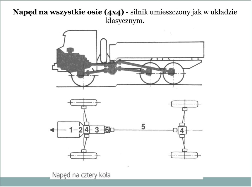 umieszczony jak w