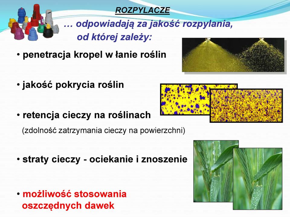 cieczy na roślinach (zdolność zatrzymania cieczy na powierzchni)