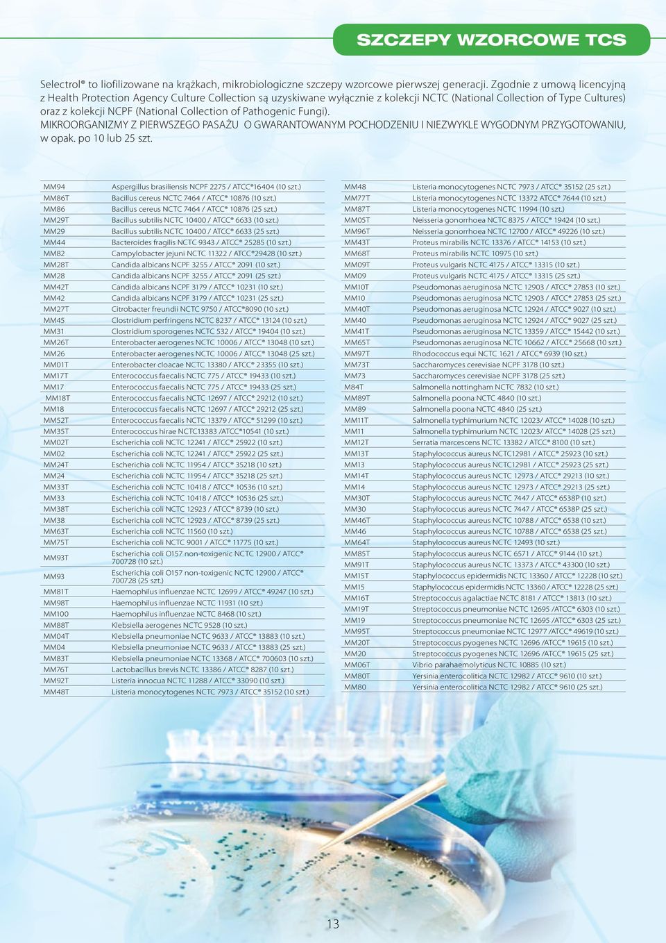 Pathogenic Fungi). MIKROORGANIZMY Z PIERWSZEGO PASAŻU O GWARANTOWANYM POCHODZENIU I NIEZWYKLE WYGODNYM PRZYGOTOWANIU, w po 0 lub 25 szt. MM94 Aspergillus brasiliensis NCPF 2275 / ATCC 6404 (0 szt.