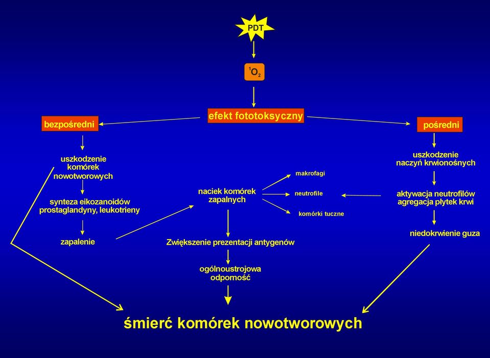 zapalnych neutrofile komórki tuczne aktywacja neutrofilów agregacja płytek krwi zapalenie