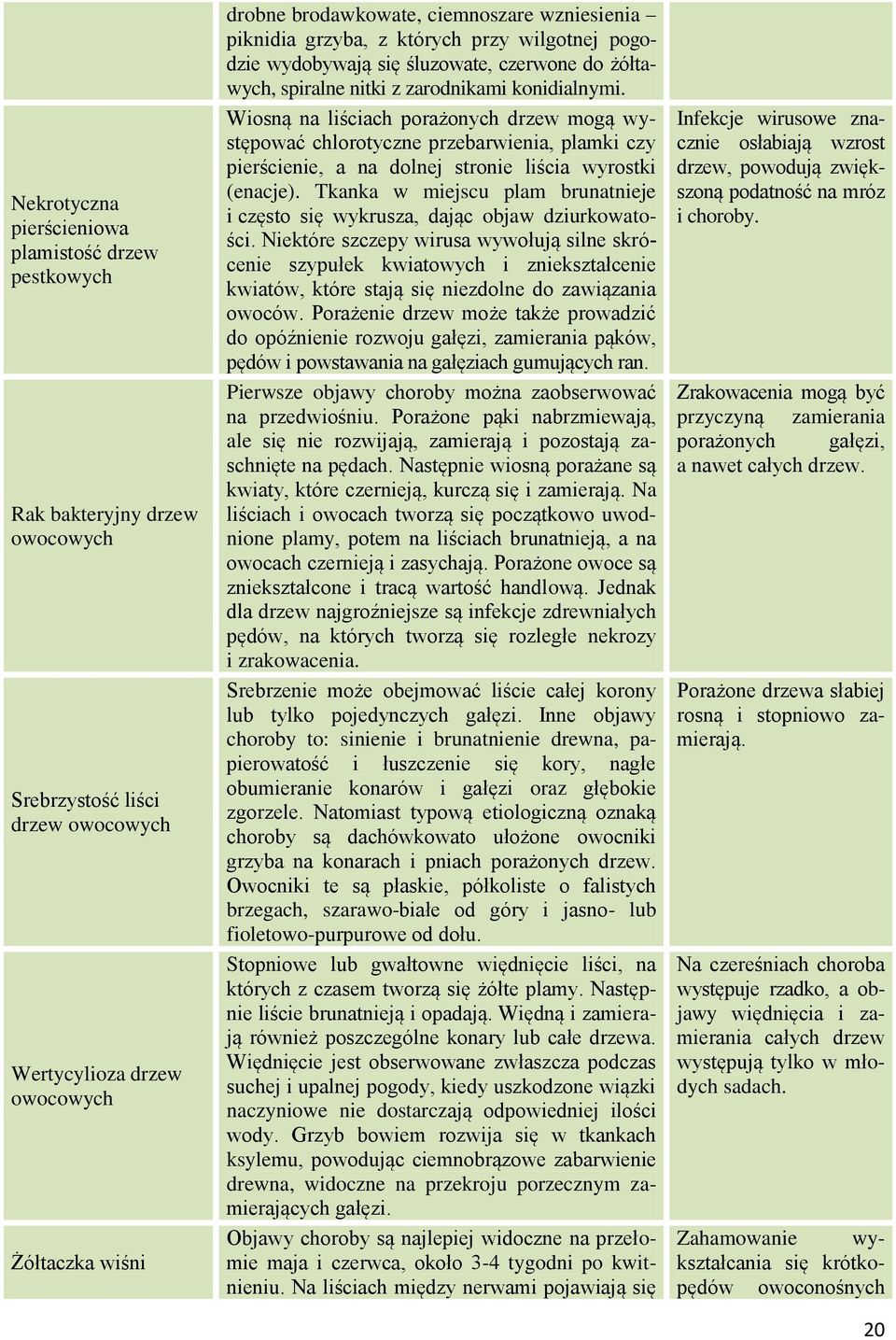 Wiosną na liściach porażonych drzew mogą występować chlorotyczne przebarwienia, plamki czy pierścienie, a na dolnej stronie liścia wyrostki (enacje).