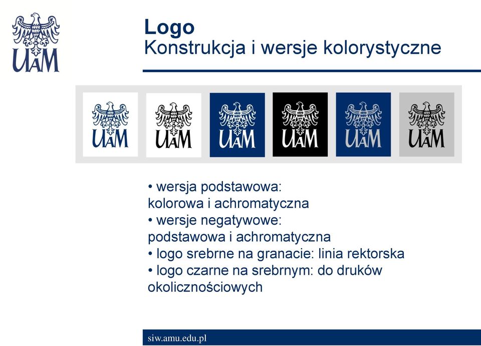 podstawowa i achromatyczna logo srebrne na granacie: