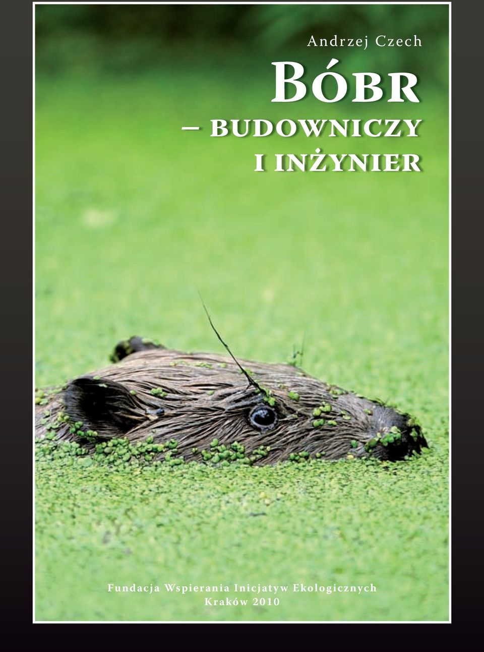Fundacja Wspierania