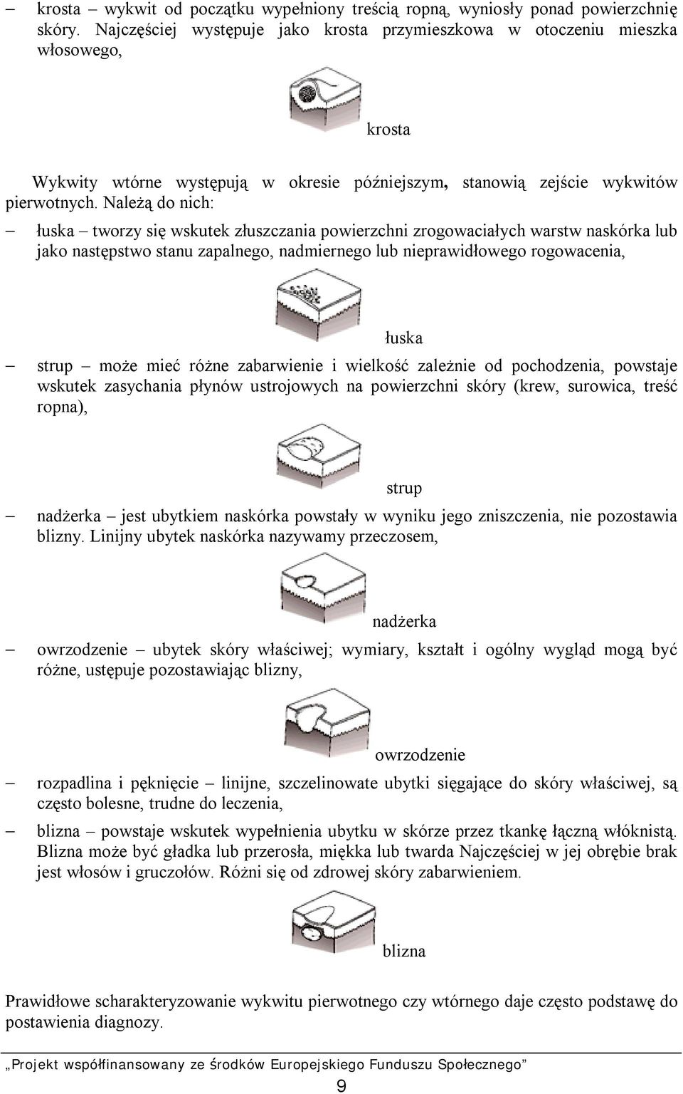 Należą do nich: łuska tworzy się wskutek złuszczania powierzchni zrogowaciałych warstw naskórka lub jako następstwo stanu zapalnego, nadmiernego lub nieprawidłowego rogowacenia, łuska strup może mieć