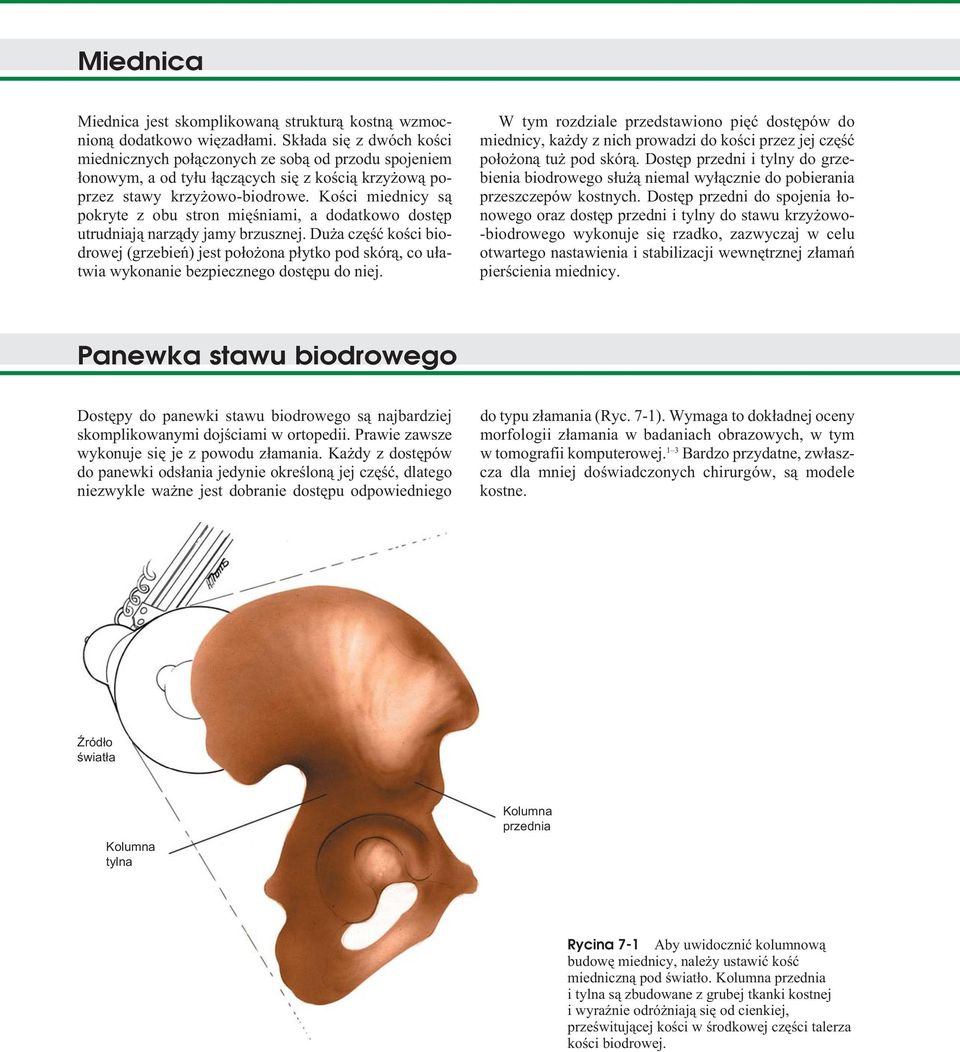 Kości miednicy są pokryte z obu stron mięśniami, a dodatkowo dostęp utrudniają narządy jamy brzusznej.