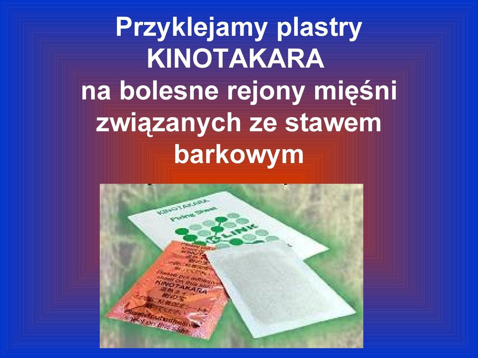 rejony mięśni