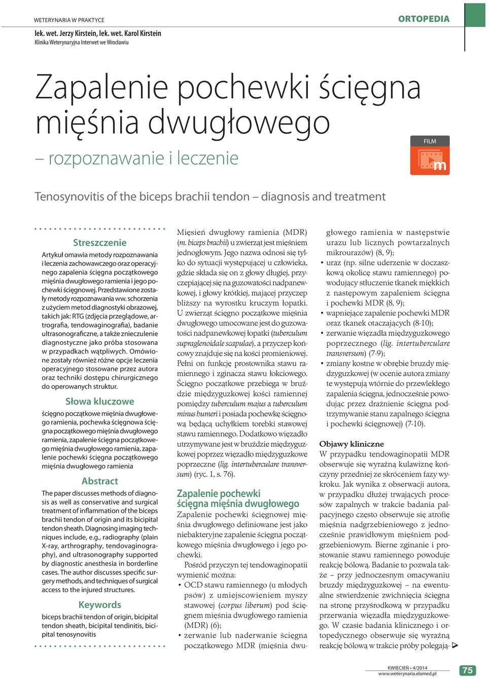 zerwanie lub naderwanie ścięgna początkowego MDR (mięśnia dwulek. wet.