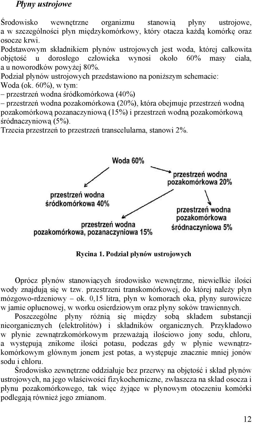 Podział płynów ustrojowych przedstawiono na poniższym schemacie: Woda (ok.