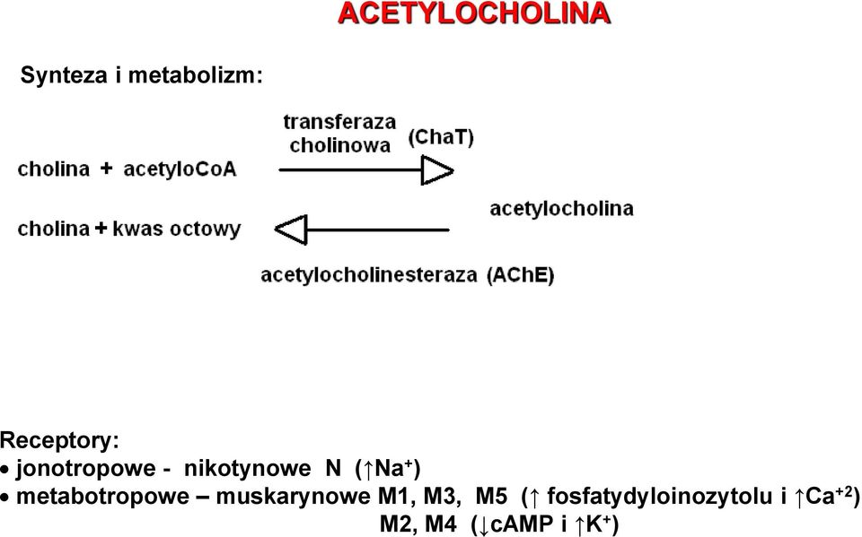 + ) metabotropowe muskarynowe M1, M3, M5 (