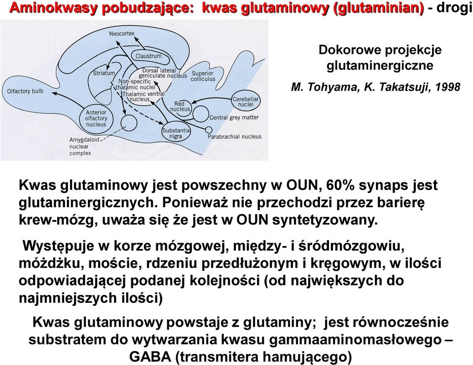 Ponieważ nie przechodzi przez barierę krew-mózg, uważa się że jest w OUN syntetyzowany.