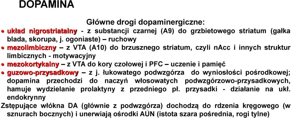 pamięć guzowo-przysadkowy z j.