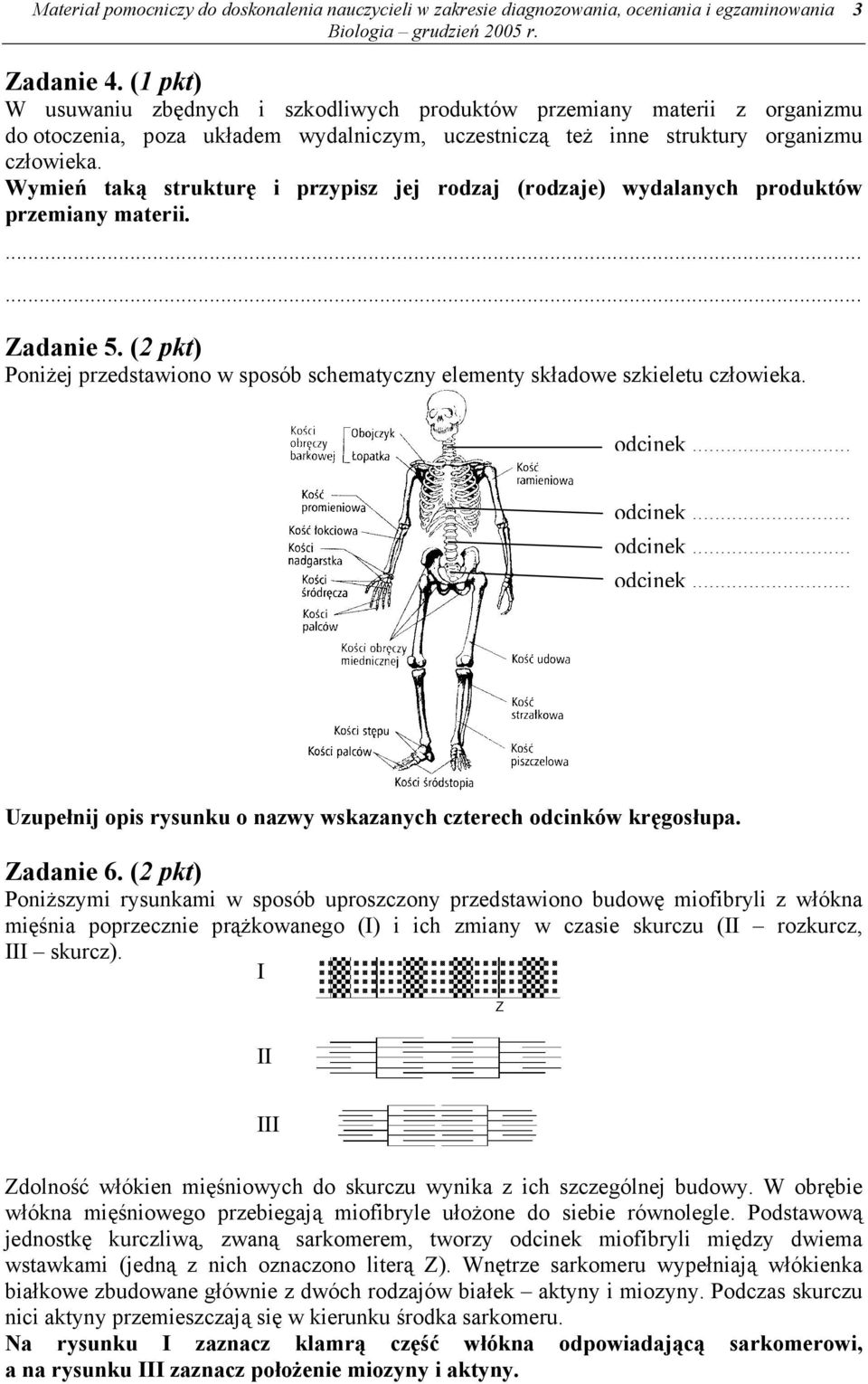 Wymień taką strukturę i przypisz jej rodzaj (rodzaje) wydalanych produktów przemiany materii. Zadanie 5. (2 pkt) Poniżej przedstawiono w sposób schematyczny elementy składowe szkieletu człowieka.