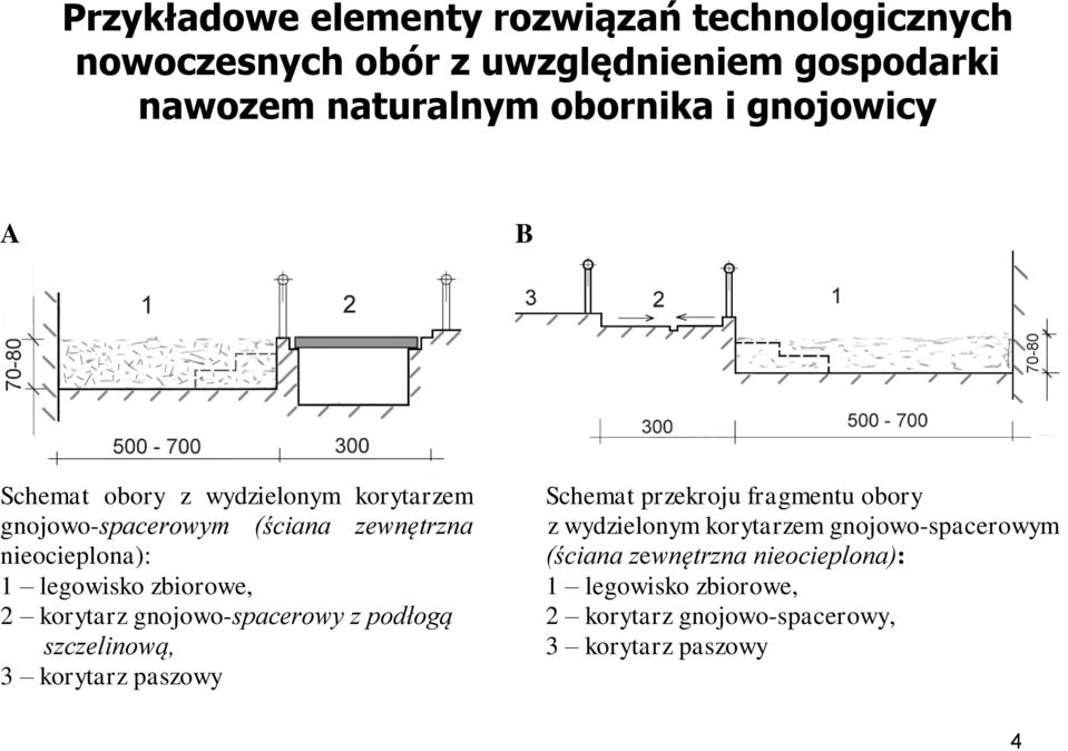 zbiorowe, 2 korytarz gnojowo-spacerowy z podłogą szczelinową, 3 korytarz paszowy Schemat przekroju fragmentu obory z