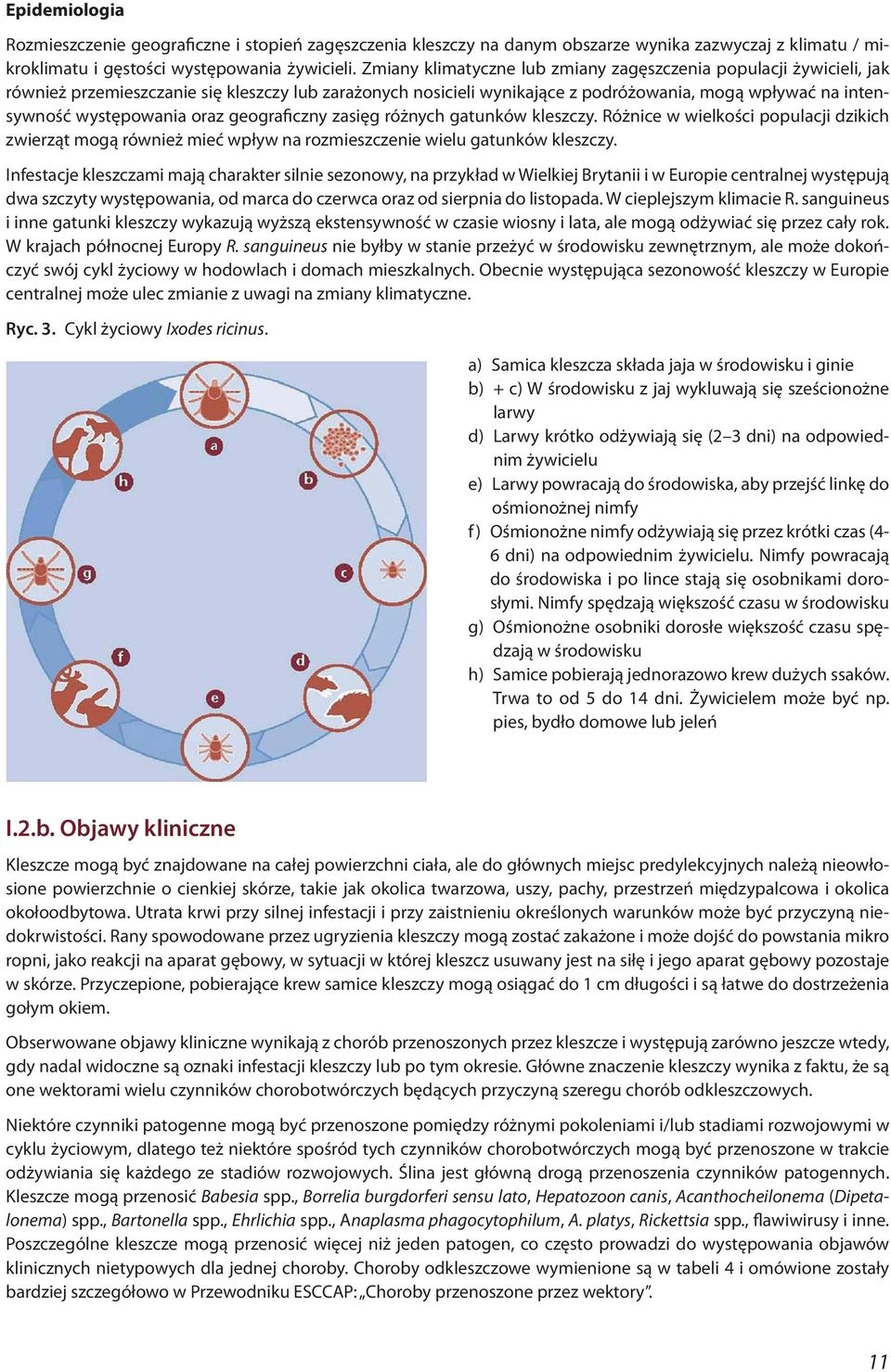 oraz geograficzny zasięg różnych gatunków kleszczy. Różnice w wielkości populacji dzikich zwierząt mogą również mieć wpływ na rozmieszczenie wielu gatunków kleszczy.