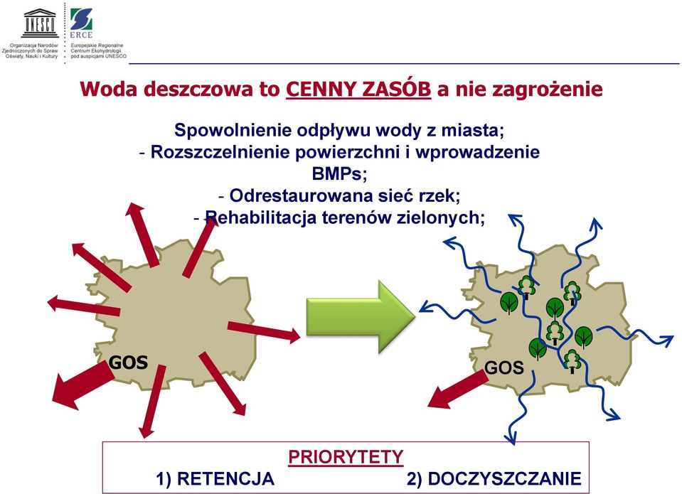 wprowadzenie BMPs; - Odrestaurowana sieć rzek; -