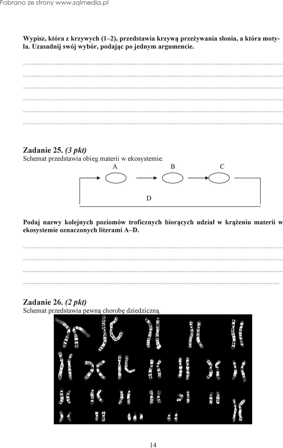 (3 pkt) Schemat przedstawia obieg materii w ekosystemie.