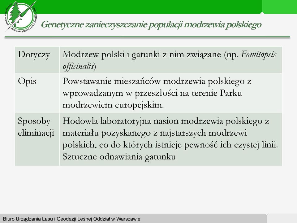 terenie Parku modrzewiem europejskim.