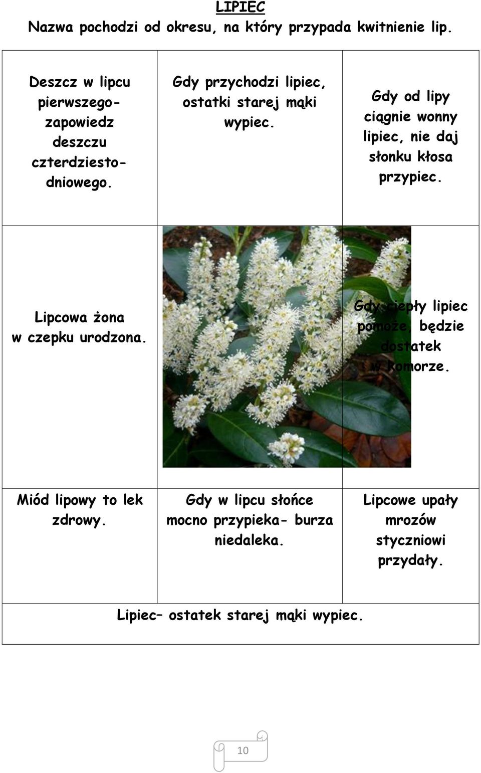 Gdy od lipy ciągnie wonny lipiec, nie daj słonku kłosa przypiec. Lipcowa żona w czepku urodzona.