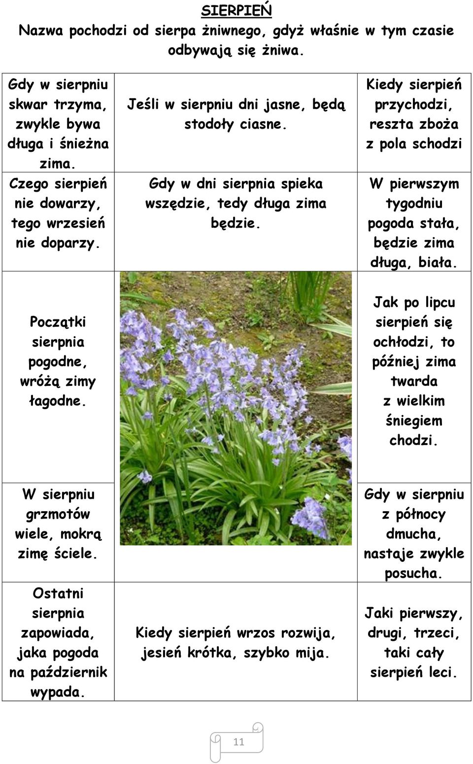 Kiedy sierpień przychodzi, reszta zboża z pola schodzi W pierwszym tygodniu pogoda stała, będzie zima długa, biała. Początki sierpnia pogodne, wróżą zimy łagodne.