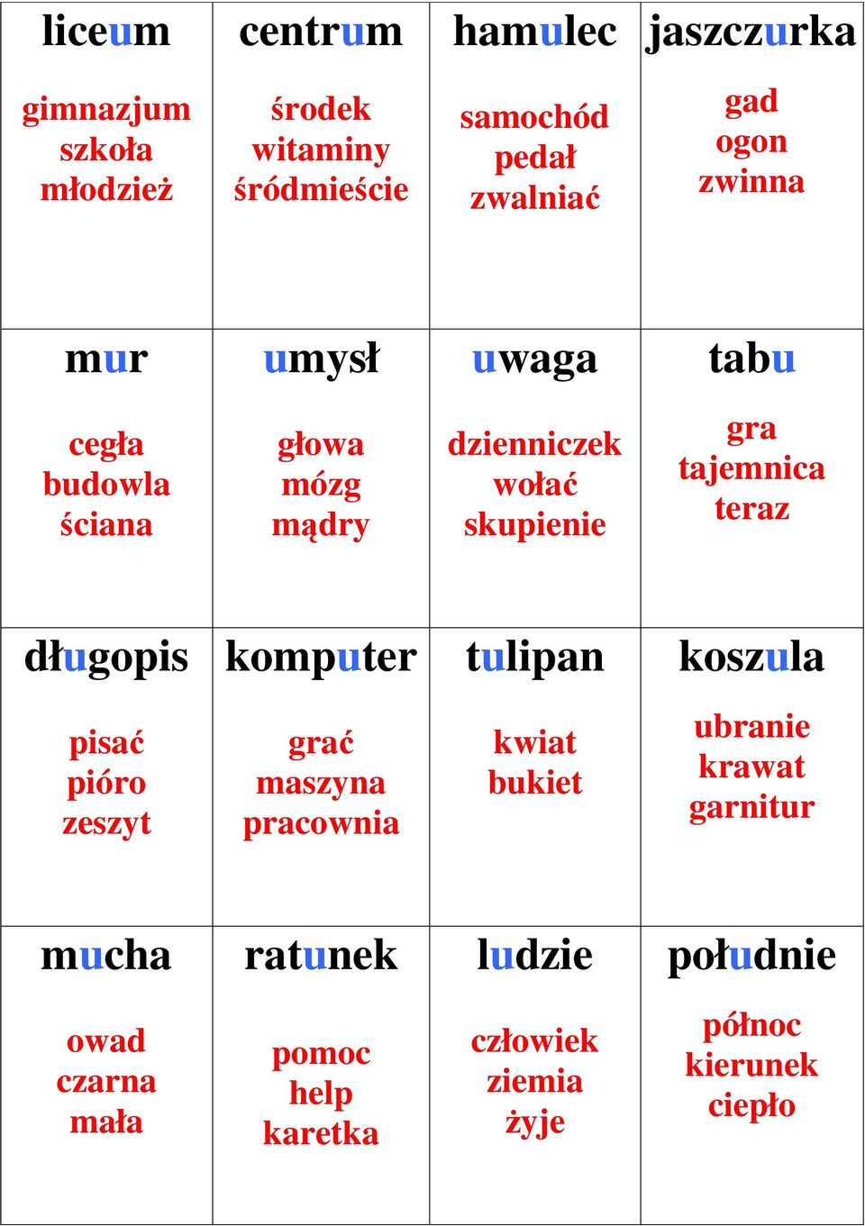 tajemnica teraz długopis pisać pióro zeszyt komputer grać maszyna pracownia tulipan kwiat bukiet koszula ubranie