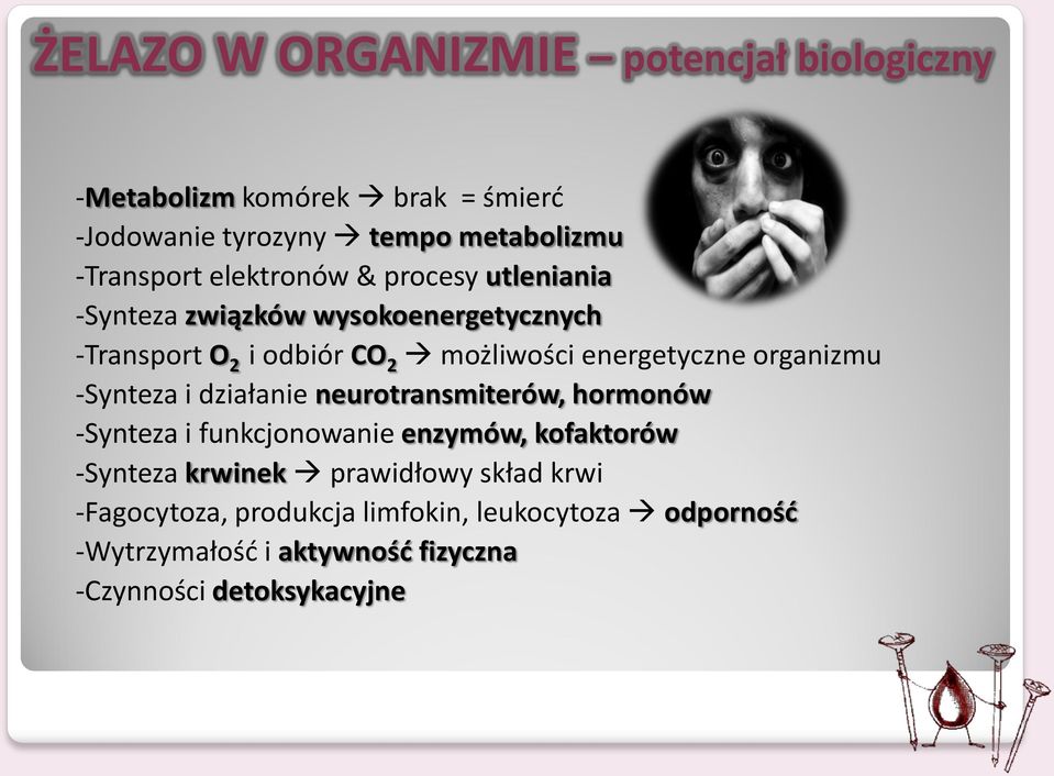 organizmu -Synteza i działanie neurotransmiterów, hormonów -Synteza i funkcjonowanie enzymów, kofaktorów -Synteza krwinek
