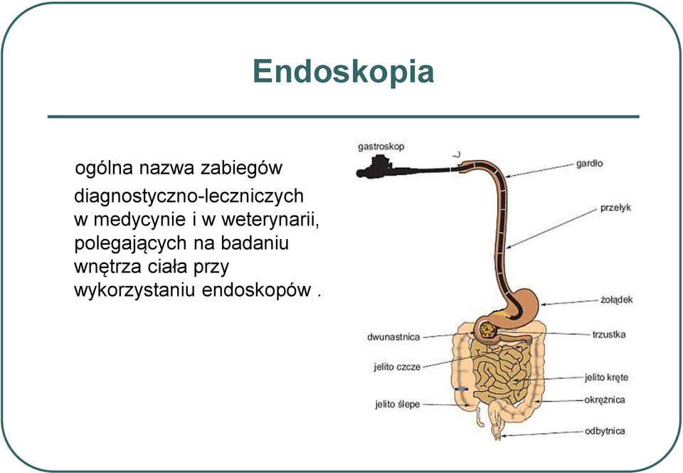 i w weterynarii, polegających na