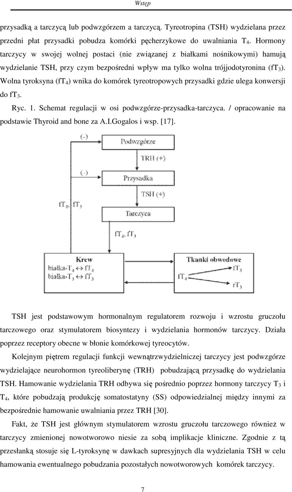 Wolna tyroksyna (ft 4 ) wnika do komórek tyreotropowych przysadki gdzie ulega konwersji do ft 3. Ryc. 1. Schemat regulacji w osi podwzgórze-przysadka-tarczyca.