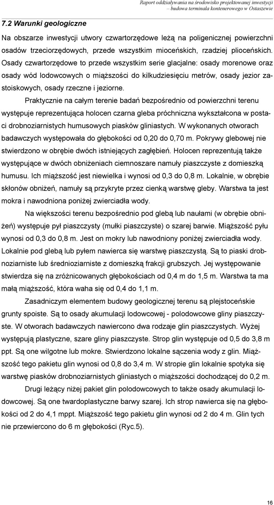 Praktycznie na całym terenie badań bezpośrednio od powierzchni terenu występuje reprezentująca holocen czarna gleba próchniczna wykształcona w postaci drobnoziarnistych humusowych piasków gliniastych.