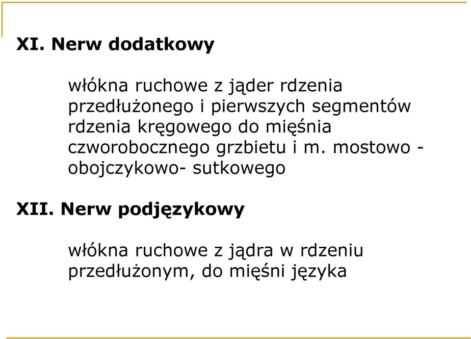 grzbietu i m. mostowo - obojczykowo- sutkowego XII.