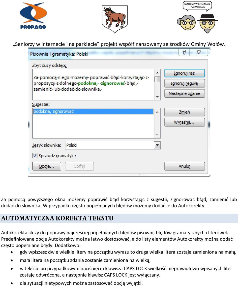 Predefiniowane opcje Autokorekty można łatwo dostosować, a do listy elementów Autokorekty można dodać często popełniane błędy.