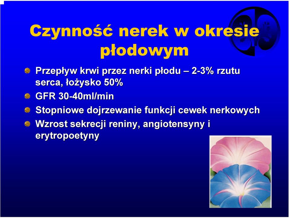 GFR 30-40ml/min Stopniowe dojrzewanie funkcji cewek