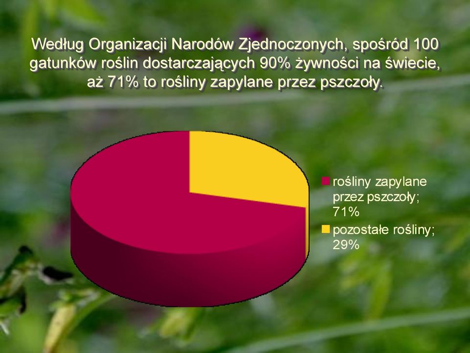 roślin dostarczających 90% żywności na