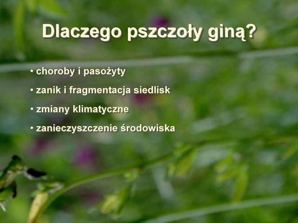 fragmentacja siedlisk zmiany