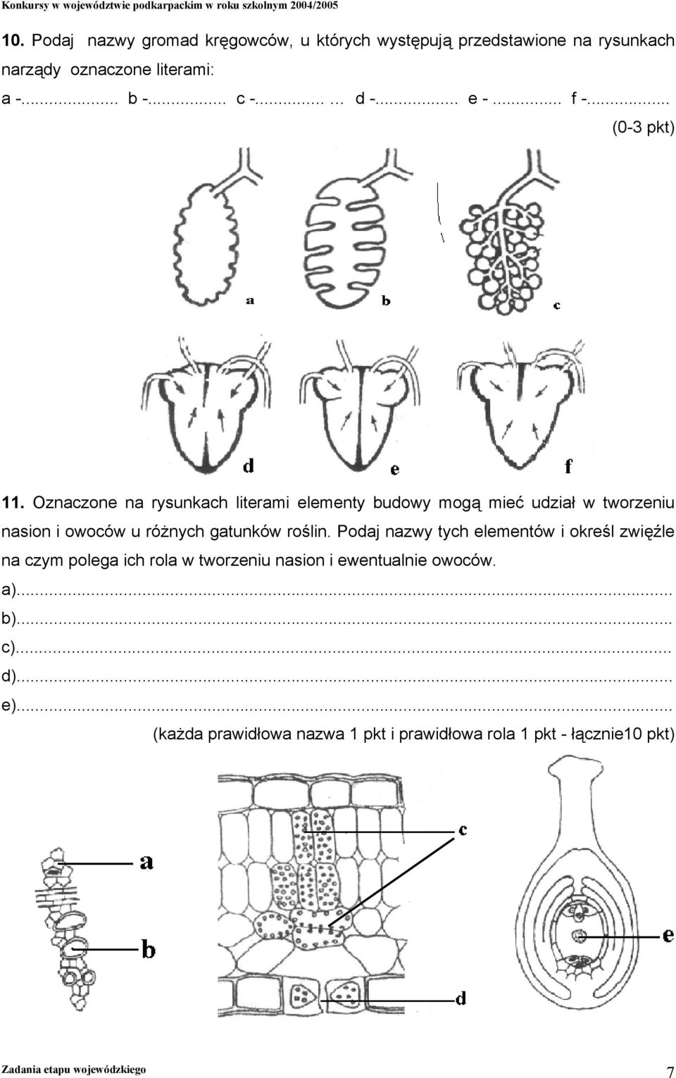 Oznaczone na rysunkach literami elementy budowy mogą mieć udział w tworzeniu nasion i owoców u różnych gatunków roślin.