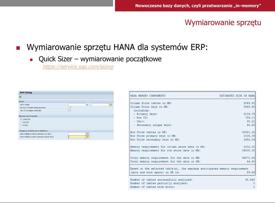 Sizer wymiarowanie początkowe