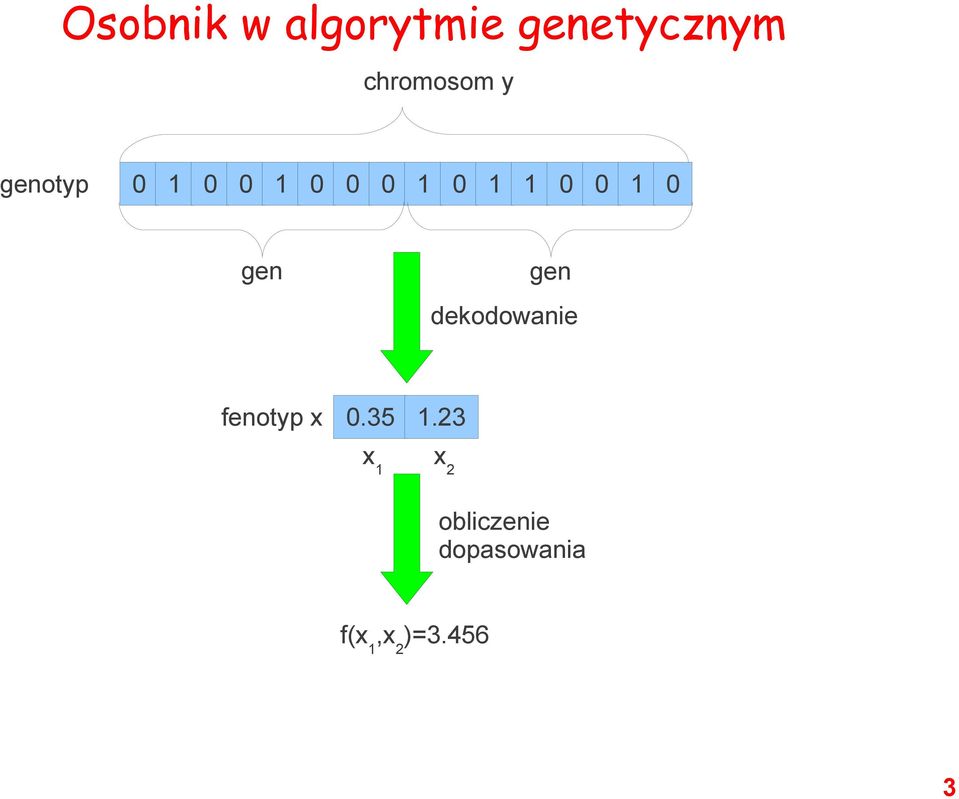 0 0 1 0 gen gen dekodowanie fenotyp x 0.