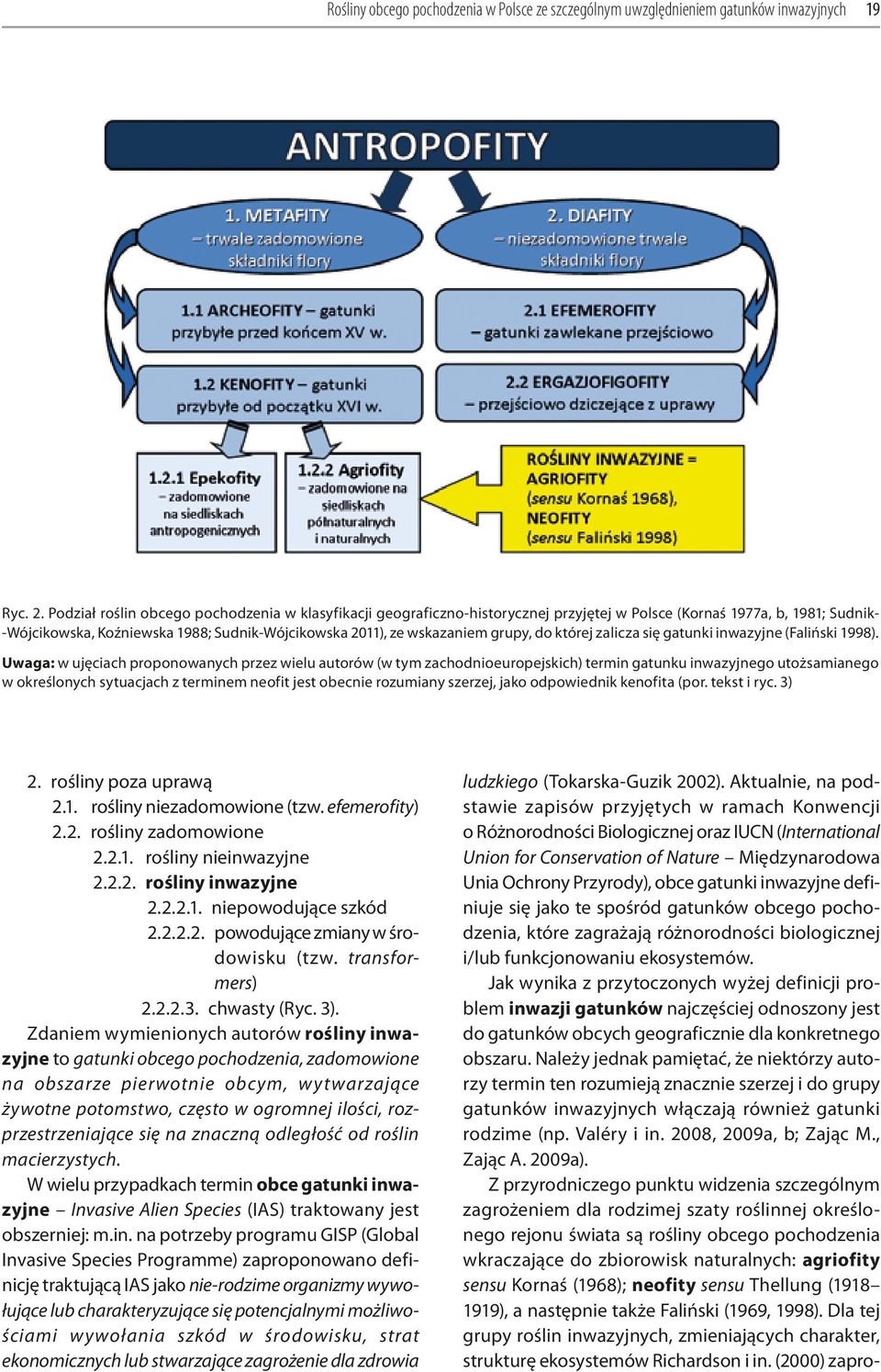 grupy, do której zalicza się gatunki inwazyjne (Faliński 1998).